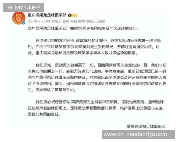 阿萨莫阿受伤责任归咎于广告牌不当设置张志雄并无犯规之嫌 阿萨莫阿受伤责任归咎于广告牌不当设置张志雄并无犯规之嫌